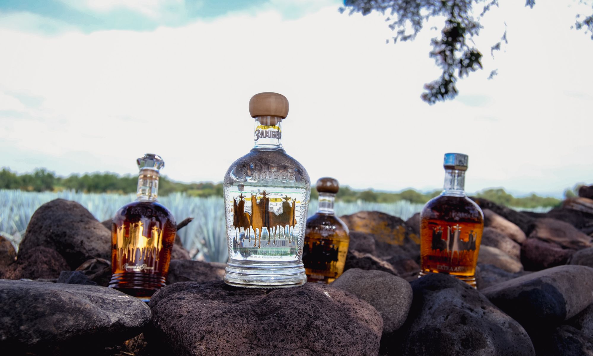 3 Amigos Tequila